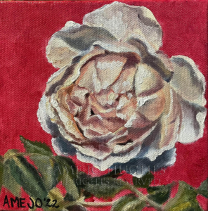 Tea Rose Study